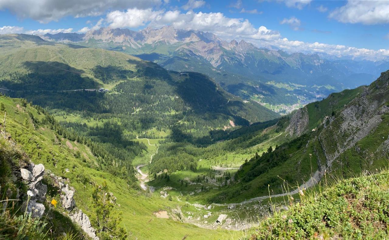 Piccolo Nido Falcade Buitenkant foto